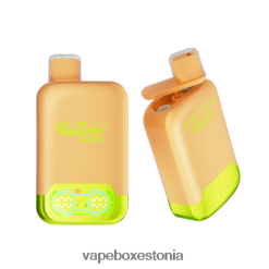 Disposable Vape Eesti - Vapsolo TWINS ühekordne vape sidruni laim ja arbuusijää ZPF6T2141